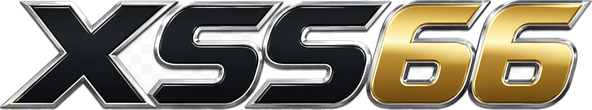 XSS66